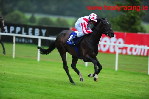 Phantom fo Plenty Leopardstown 16th August 2012